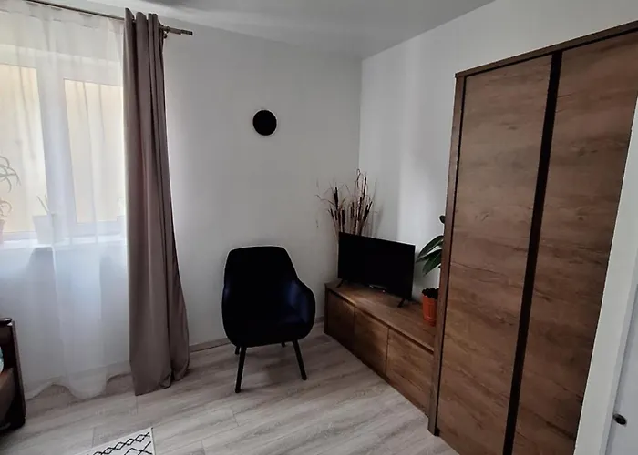 Miha's Apartment Sulina