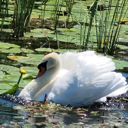 Miha's Διαμέρισμα
