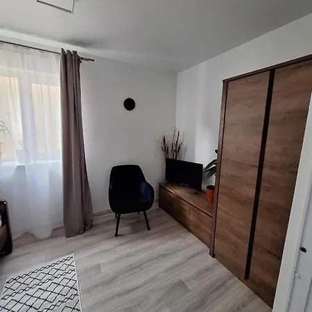 Miha's Apartment Sulina