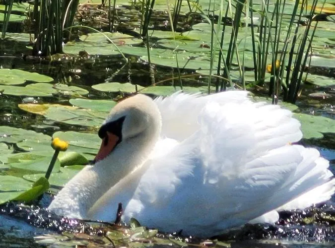 Miha's Διαμέρισμα